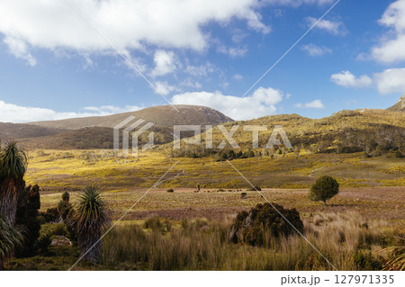 Ronny Creek at Cradle Mountain in Tasmania Australia Ronny Creek at Cradle Mountain in Tasmania Australia 127971335