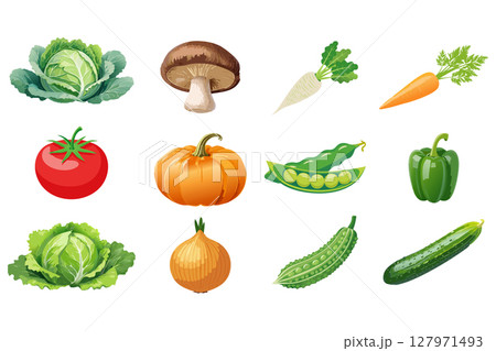 野菜のイラスト 野菜のイラスト 127971493