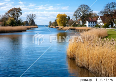 Chiemsee idyllic landscape showing calm water, reeds, houses and blue sky with clouds 127971770