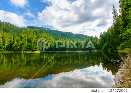 remote mountain landscape with forest lake in summer. travel nature background of synevyr national park on a sunny day. scenic view of coniferous trees reflection in water. vacation season in ukraine remote mountain landscape with forest lake in summer. travel nature background of synevyr national park on a sunny day. scenic view of coniferous trees reflection in water. vacation season in ukraine 127972061