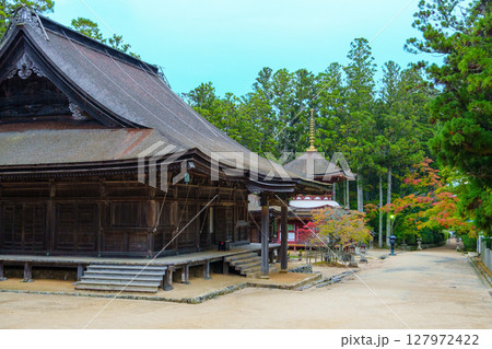 高野山　壇上伽藍　東塔と大会堂 127972422