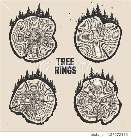 Round tree trunk cuts with trees, forest and birds. Sawn pine or oak slices, lumber. Saw cut timber, wood. Brown wooden texture with tree rings. Hand drawn sketch. Vector illustration Round tree trunk cuts with trees, forest and birds. Sawn pine or oak slices, lumber. Saw cut timber, wood. Brown wooden texture with tree rings. Hand drawn sketch. Vector illustration 127972586