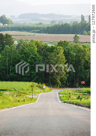 夏の終わりの北海道美瑛町の丘の道 127972600
