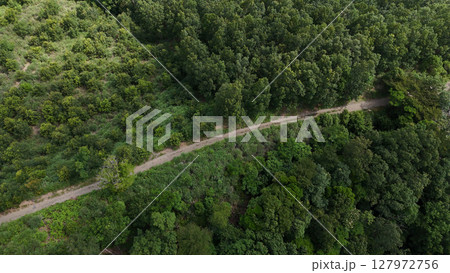 尾根にある林道(空撮) - 静岡県伊豆市、日本 尾根にある林道(空撮) - 静岡県伊豆市、日本 127972756