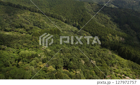 森林(空撮) - 静岡県伊豆市、日本 森林(空撮) - 静岡県伊豆市、日本 127972757