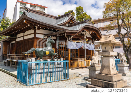京都の石清水八幡宮からの分霊　神明八幡神社　拝殿　兵庫県西宮市神明町 127973343