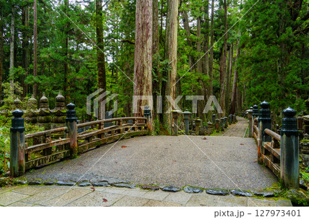 高野山　奥之院の中の橋 127973401