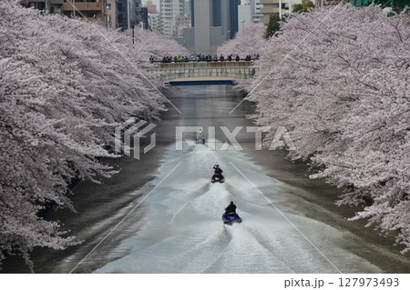 日本の東京都の目黒区　目黒川沿いの桜並木と周辺の街並み　川を走る水上バイクと満開の桜と高層ビル 127973493