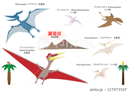 恐竜達のサイズ別翼竜目 127973507