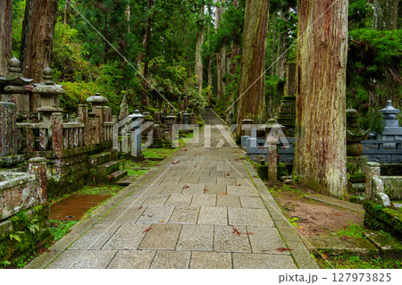 高野山　奥之院 127973825