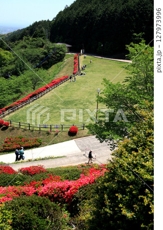 佐賀県白石町　歌垣公園（ツツジの花見スポット） 127973996