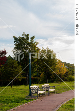 夕暮れの公園のベンチと煉瓦敷きの歩道 127974104