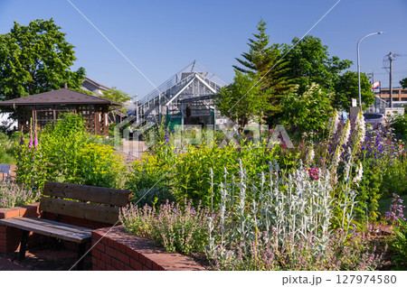 道の駅 池田 ハーブガーデン 道の駅 池田 ハーブガーデン 127974580