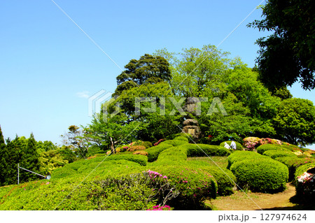 佐賀県白石町　歌垣公園（ツツジの花見スポット） 127974624