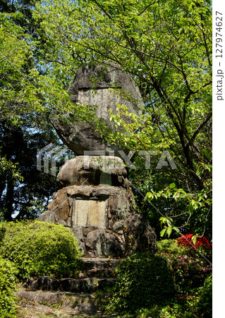 佐賀県白石町　歌垣公園（ツツジの花見スポット） 127974627