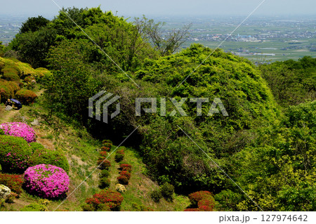 佐賀県白石町　歌垣公園（ツツジの花見スポット） 127974642