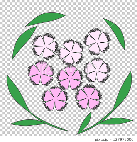 簡單的石竹插圖 127975006