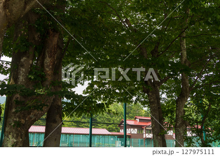 軽井沢会テニスコート 127975111