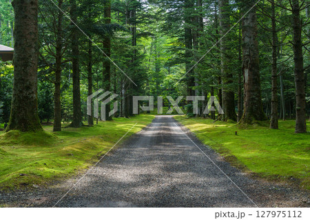 軽井沢の別荘地 127975112