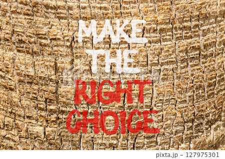 Make the right choice symbol. Concept words phrase Make the right choice on beautiful palm tree bark. Beautiful palm tree bark background. Business Make the right choice concept. Copy space. 127975301