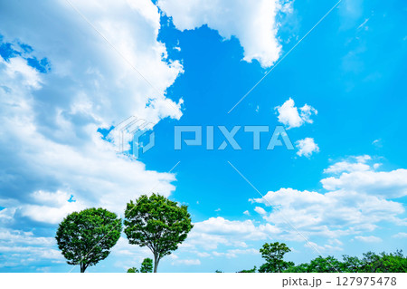 青空と雲と木立 127975478