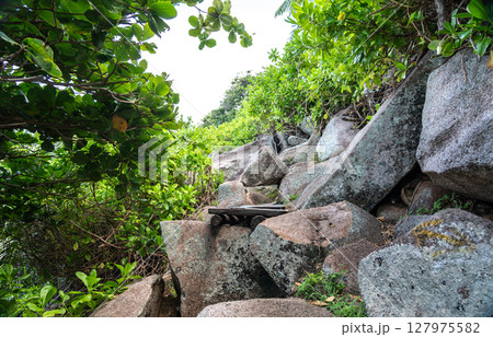 Trail through tropical jungle and granite boulders on La Digue Island, Seychelles Trail through tropical jungle and granite boulders on La Digue Island, Seychelles 127975582