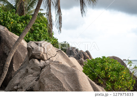 Granite boulders and tropical palms line the rocky coast of La Digue, Seychelles 127975833