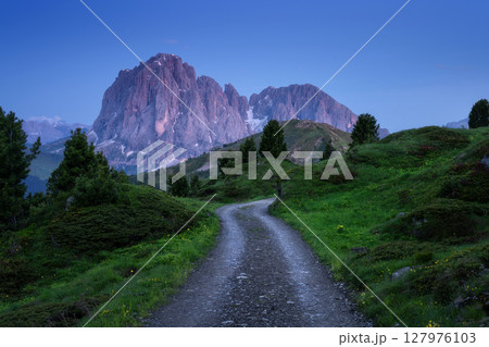 Gravel road winding through green meadows and mountain Gravel road winding through green meadows and mountain 127976103