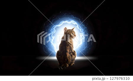 亡くなった猫の魂と光の入り口 127976310