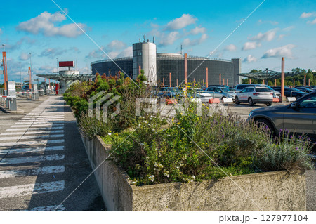 Amazing gardening in airport of Hamburg (in special concrete boxes) with flowers and other perennials Amazing gardening in airport of Hamburg (in special concrete boxes) with flowers and other perennials 127977104