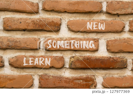 Learn something new symbol. Concept words Learn something new on beautiful brown brick wall. Beautiful brown brick wall background. Business motivational learn something new concept. Copy space. Learn something new symbol. Concept words Learn something new on beautiful brown brick wall. Beautiful brown brick wall background. Business motivational learn something new concept. Copy space. 127977369