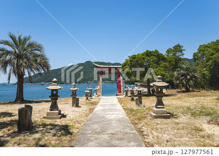 岩子島厳島神社の大鳥居 広島県尾道市 岩子島厳島神社の大鳥居 広島県尾道市 127977561