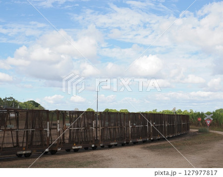 曲線を運ぶ黄の列車 ― ホーム・ヒル輸送路の午前光 127977817