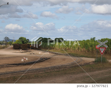 分岐の先に風を聴く ― ホーム・ヒル交差点の午後光 127977821