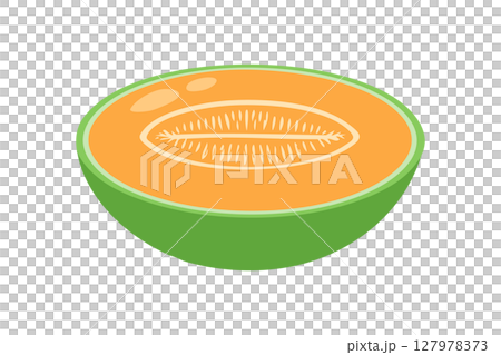 メロンのイラスト メロンのイラスト 127978373