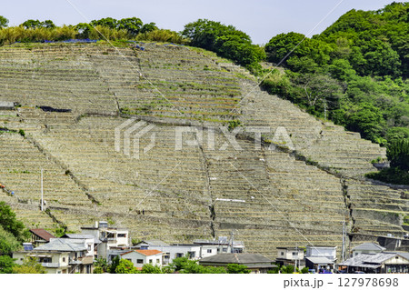 宇和島　遊子水荷浦の段畑　愛媛県宇和島市 127978698