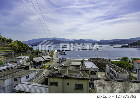 宇和島 遊子水荷浦の段畑 宇和海 愛媛県宇和島市 宇和島 遊子水荷浦の段畑 宇和海 愛媛県宇和島市 127978862