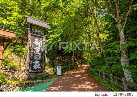 東京都　檜原都民の森　三頭山　登山道口 127978899