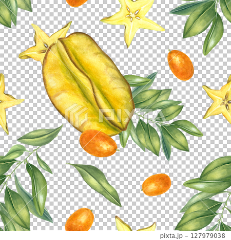 Carambola slices, kumquats and green leaves hand painted watercolor seamless pattern isolated background. Exotic citrus fruit for tropical designs, food packaging, summer collection, home decor. Carambola slices, kumquats and green leaves hand painted watercolor seamless pattern isolated background. Exotic citrus fruit for tropical designs, food packaging, summer collection, home decor. 127979038