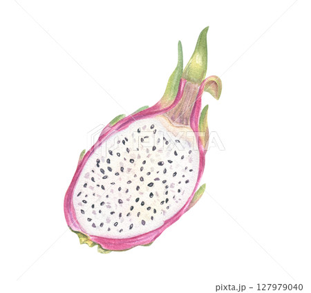 Fresh pink pitahaya half with juicy white flesh and black seeds watercolor illustration isolated background. Sweet dragon fruit for healthy food poster, tropical recipe, exotic fruit packaging 127979040