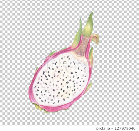 Fresh pink pitahaya half with juicy white flesh and black seeds watercolor illustration isolated background. Sweet dragon fruit for healthy food poster, tropical recipe, exotic fruit packaging 127979040
