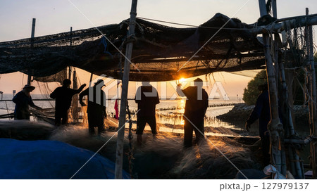 Silhouette fishermen pulling fishing nets in dock at sunset, Bang Pu Silhouette fishermen pulling fishing nets in dock at sunset, Bang Pu 127979137