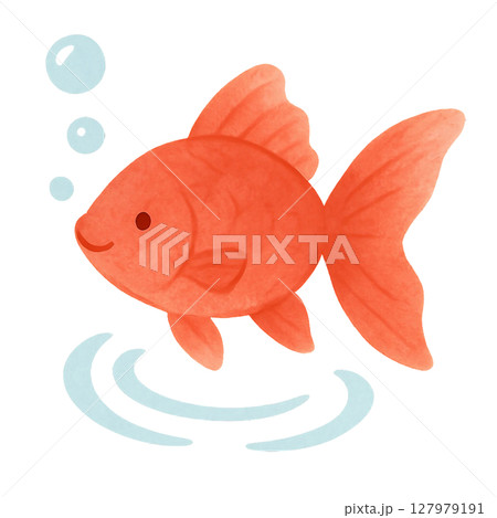 真っ赤な金魚のアイコン 127979191