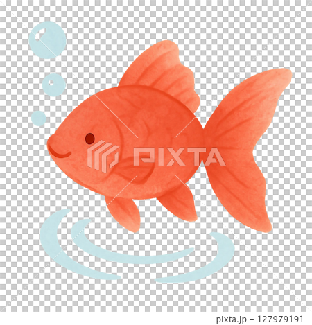 真っ赤な金魚のアイコン 127979191