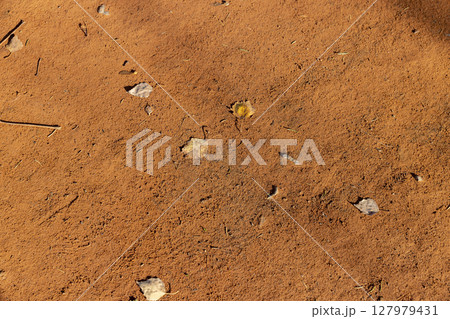red path and foliage in the autumn season, fallen on the path in the park yellow foliage of trees during leaf fall 127979431