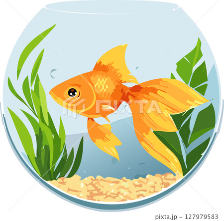 金魚鉢に入った金魚のイラスト 127979583
