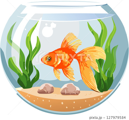 金魚鉢に入った金魚のイラスト 127979584