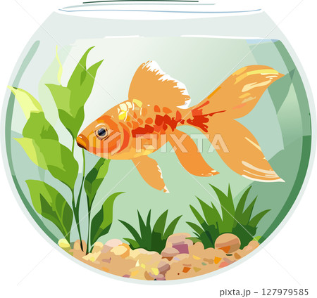 金魚鉢に入った金魚のイラスト 金魚鉢に入った金魚のイラスト 127979585