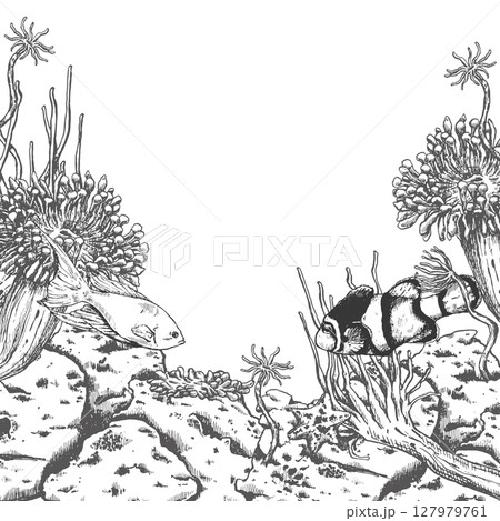 Vector frame of ocean floor with anemones and fishes 127979761