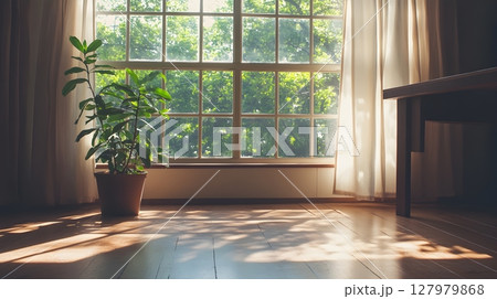 sunlit room with plant and wooden floor 127979868